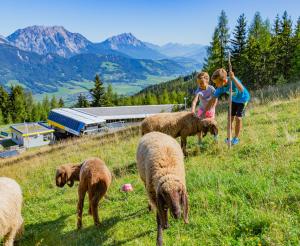 Kinder mit Schafen an der Quattralpina Talstation