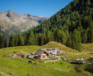 Fahrlechhütte Schladming